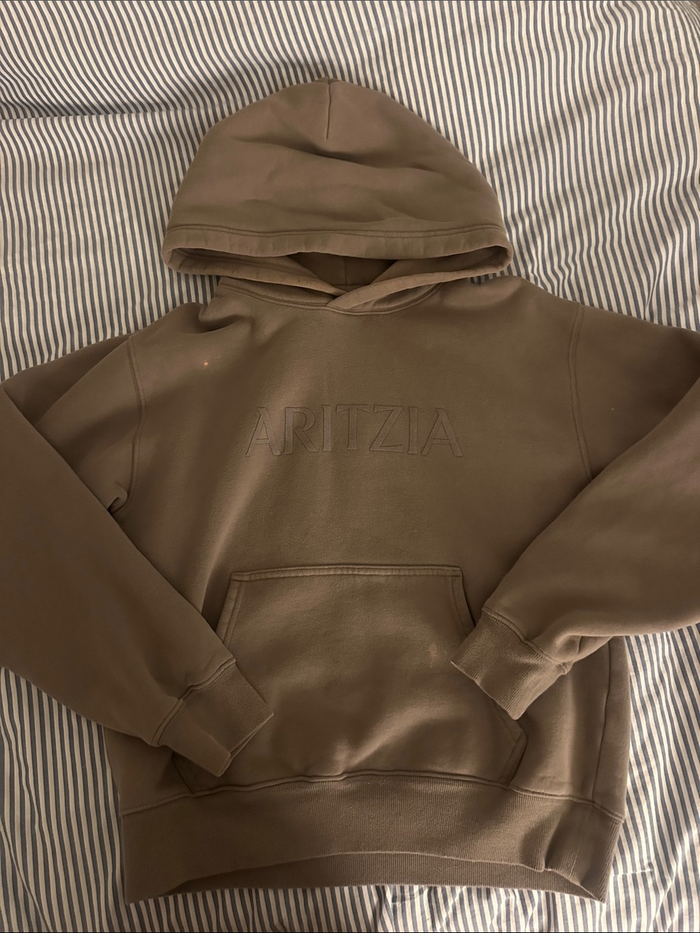 Aritzia perfect fit hoodie